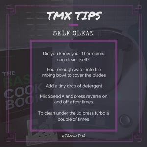 TMX TIPS_Self Clean